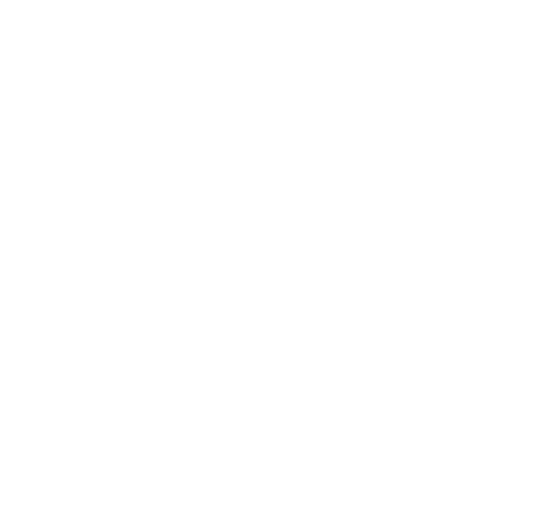 SkyOne